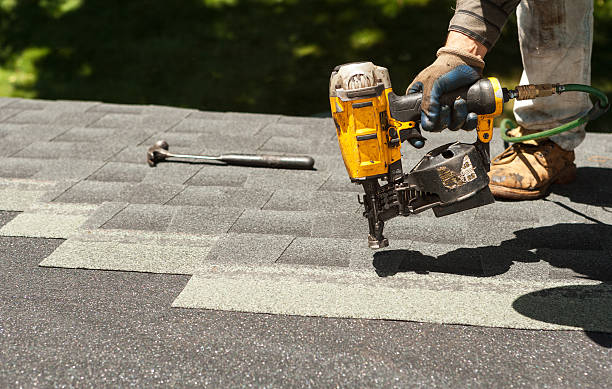 Best Roof Gutter Cleaning  in Matamoras, PA